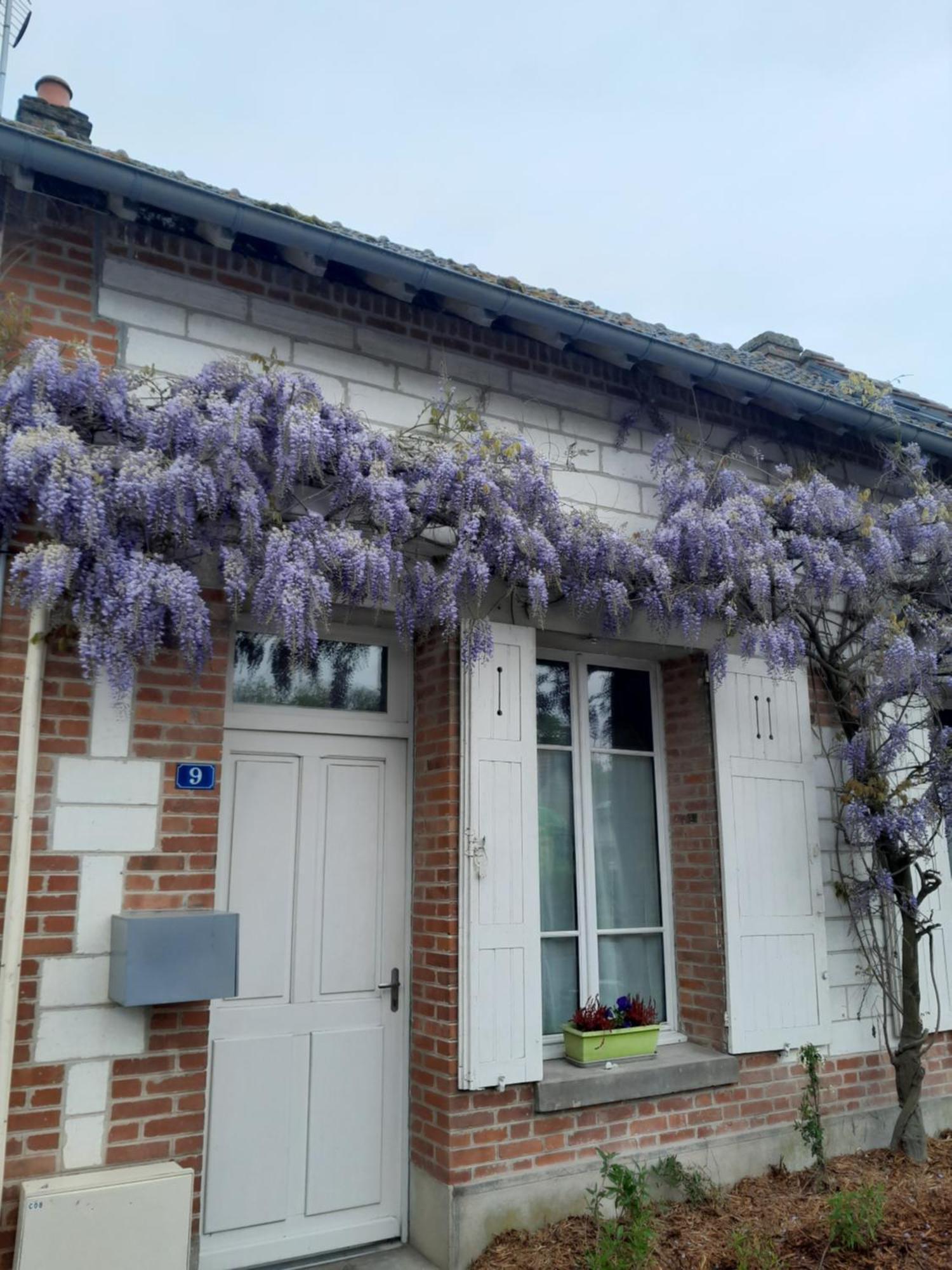 Gite, Maison A La Campagne Ardennes, Aisne,Marne Le Thour Room photo